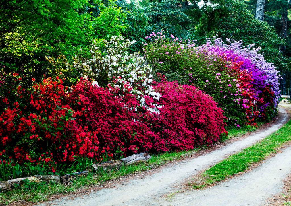 Back O' The Moon Holiday Cottage Hogsback Ngoại thất bức ảnh