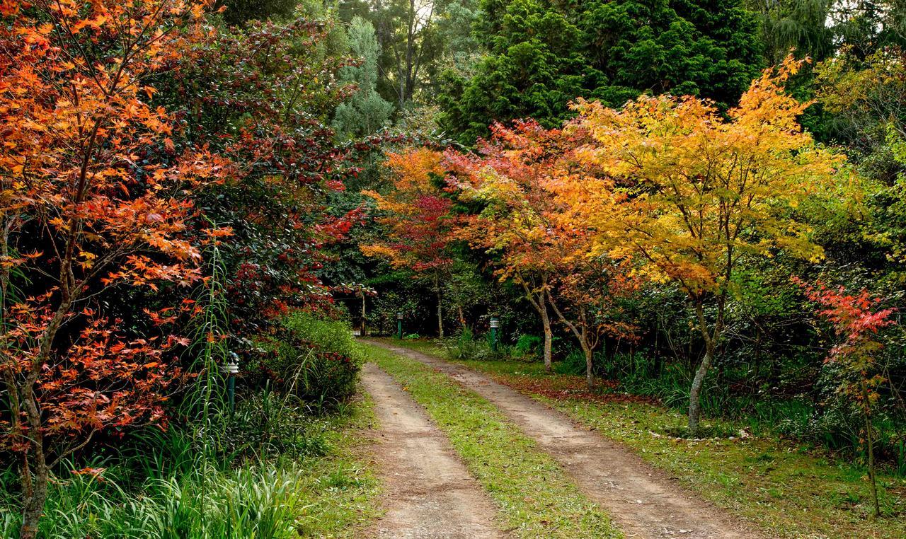 Back O' The Moon Holiday Cottage Hogsback Ngoại thất bức ảnh